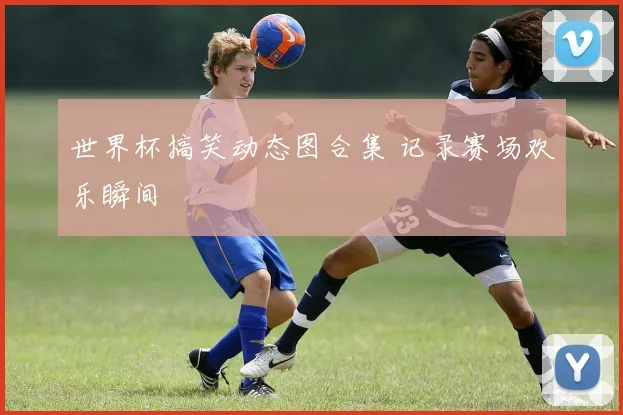 世界杯搞笑动态图合集 记录赛场欢乐瞬间