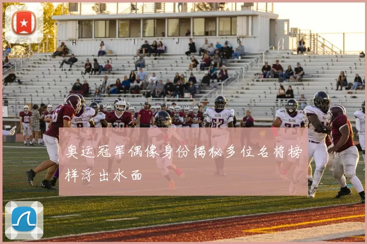 奥运冠军偶像身份揭秘多位名将榜样浮出水面