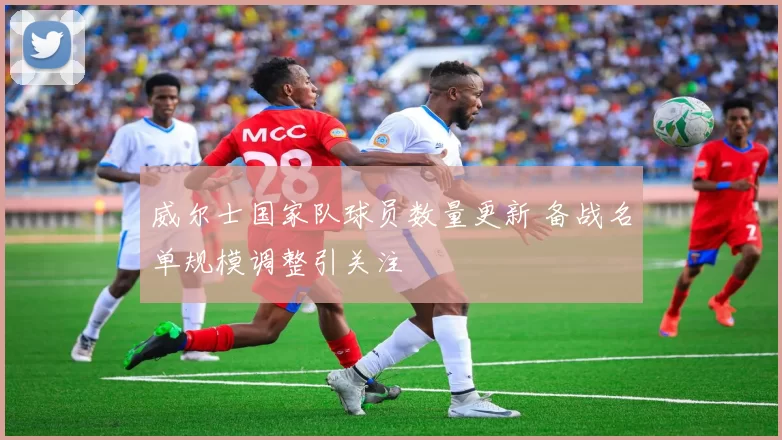 威尔士国家队球员数量更新 备战名单规模调整引关注