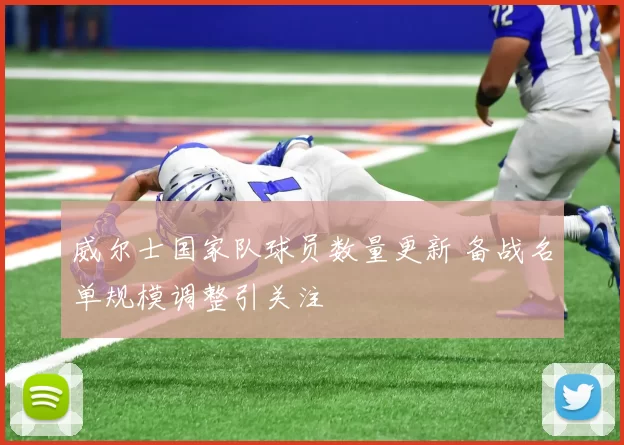 威尔士国家队球员数量更新 备战名单规模调整引关注