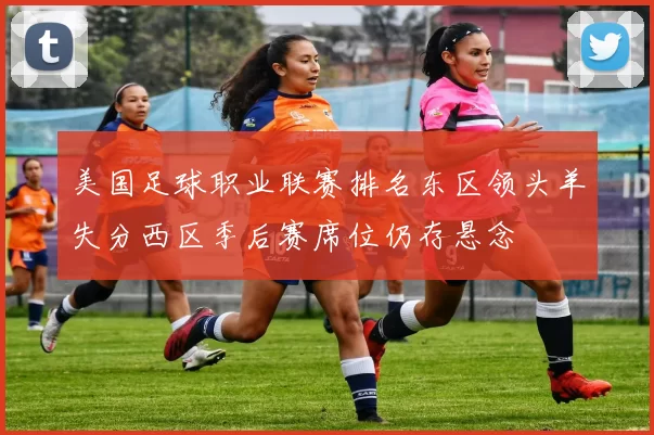 美国足球职业联赛排名东区领头羊失分西区季后赛席位仍存悬念