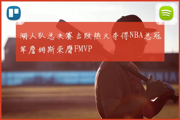 湖人队总决赛击败热火夺得NBA总冠军詹姆斯荣膺FMVP
