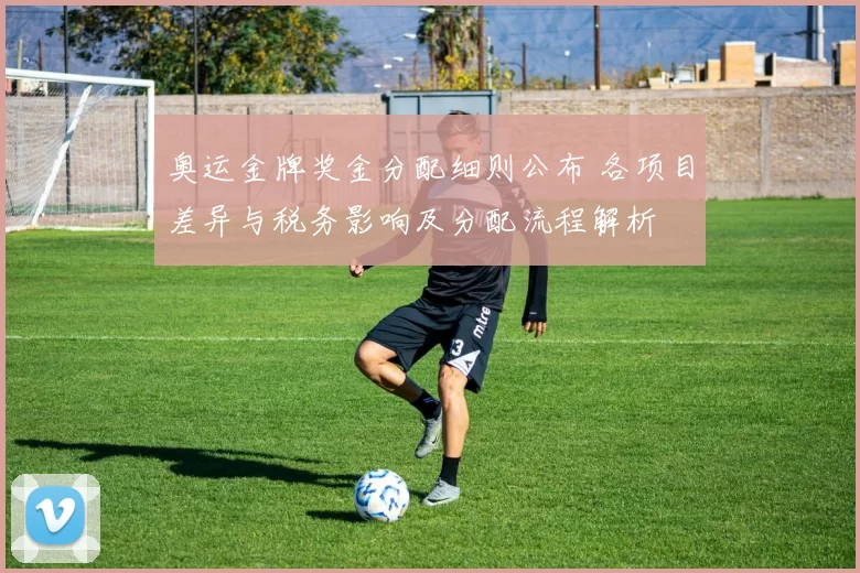 奥运金牌奖金分配细则公布 各项目差异与税务影响及分配流程解析
